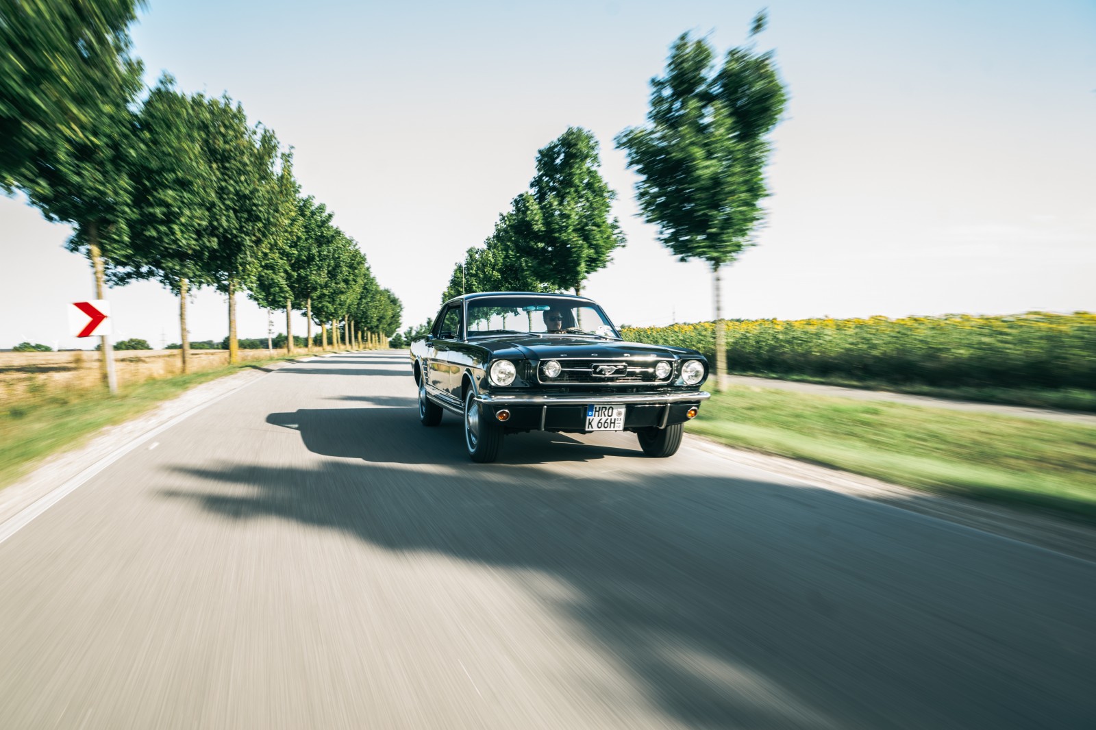 Ford Mustang Rostock