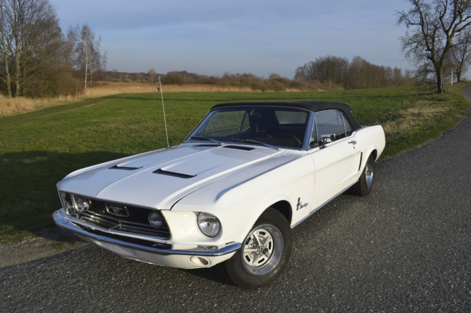 Ford-Mustang-Cabriolet-mieten-Dresden