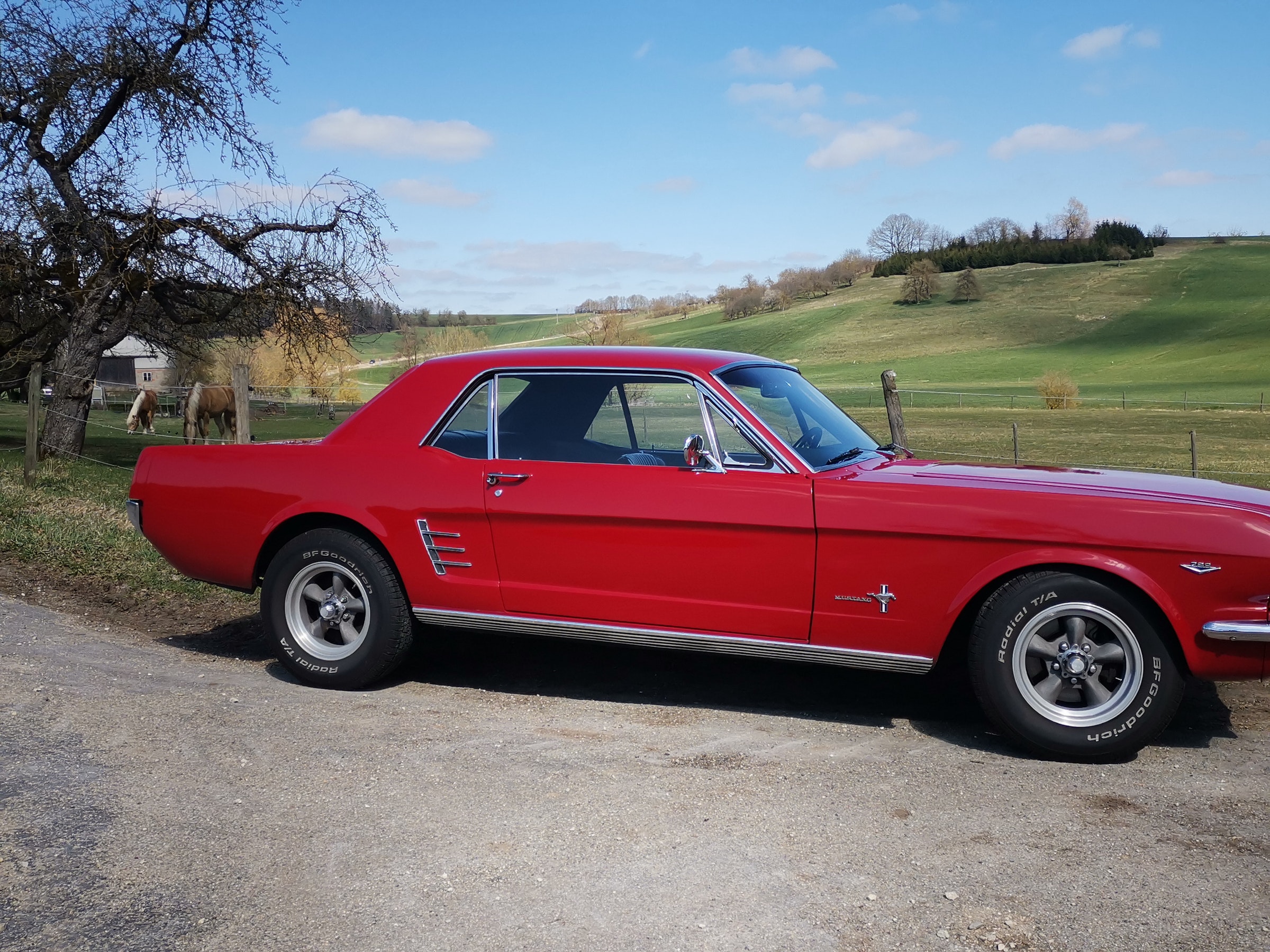 Ford-Mustang-Coupe-Oldtimer-mieten-Ulm